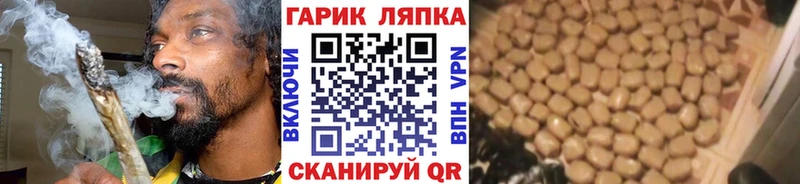 ГАШ Premium  Купить закладки  Тейково 