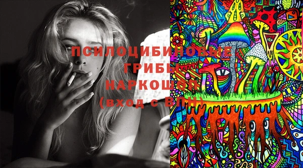 молекула духа Сясьстрой