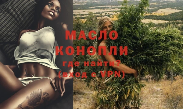 молекула духа Сясьстрой